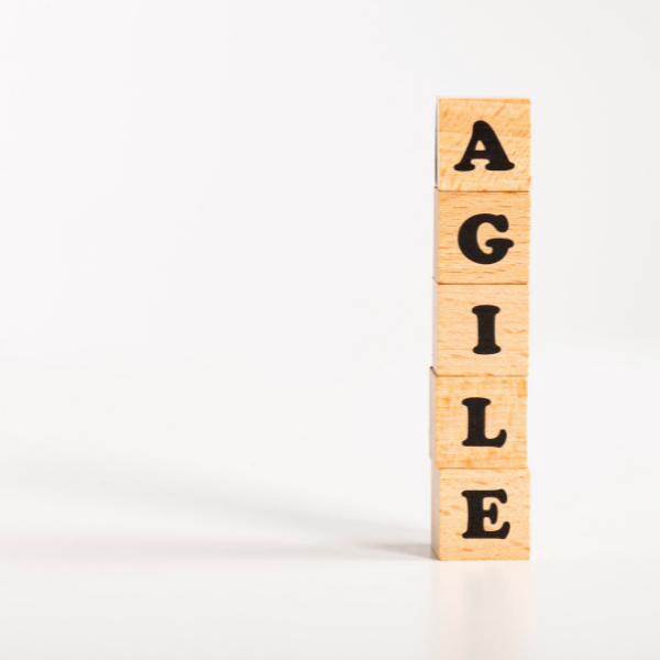 Listen to our latest webinar to hear how you can effectively take advantage of an agile research approach.